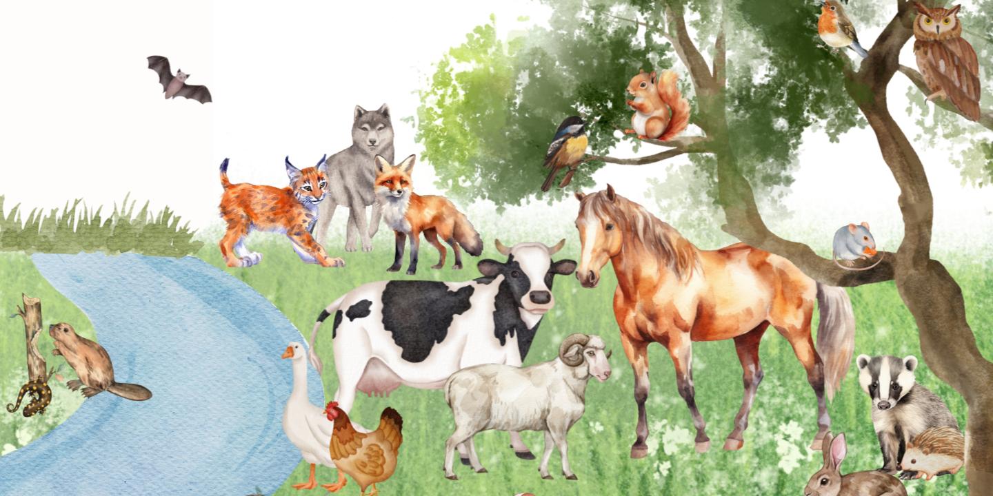 Domingo de niños en diciembre